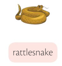 rattlesnake.png